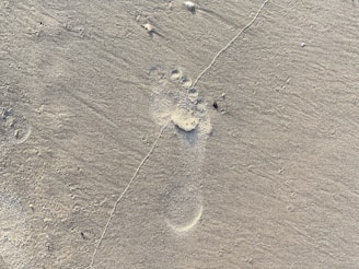 Close-up of a person stepping into a foam footprint kit at home, capturing the unique shape of their foot.
