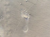 A single footprint is imprinted on a sandy surface, capturing the intricate details of the toes and arch, set against a backdrop of smooth, undisturbed sand with slight textural variations.