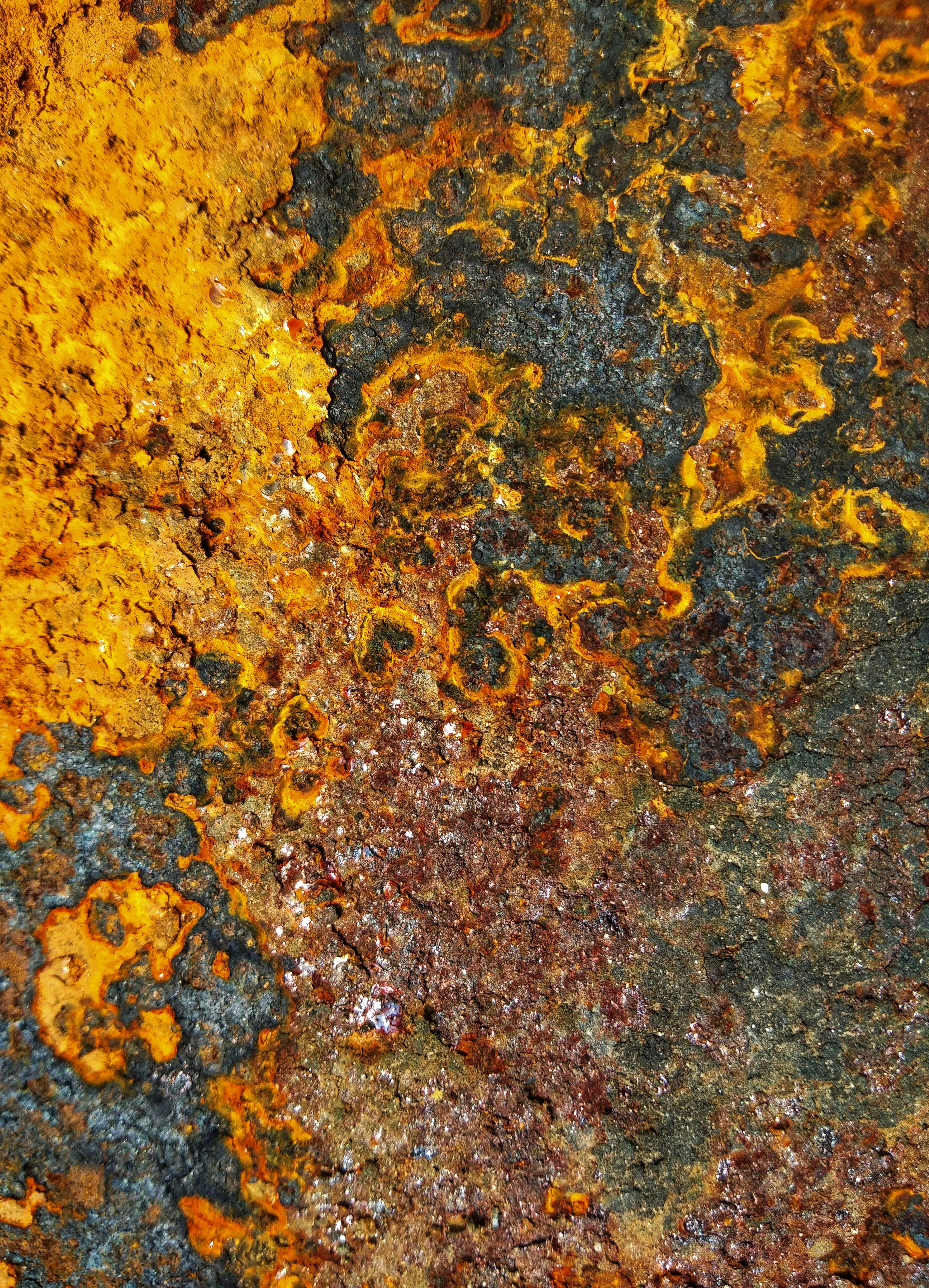 Telomere Extension: Beyond the Hayflick Limit