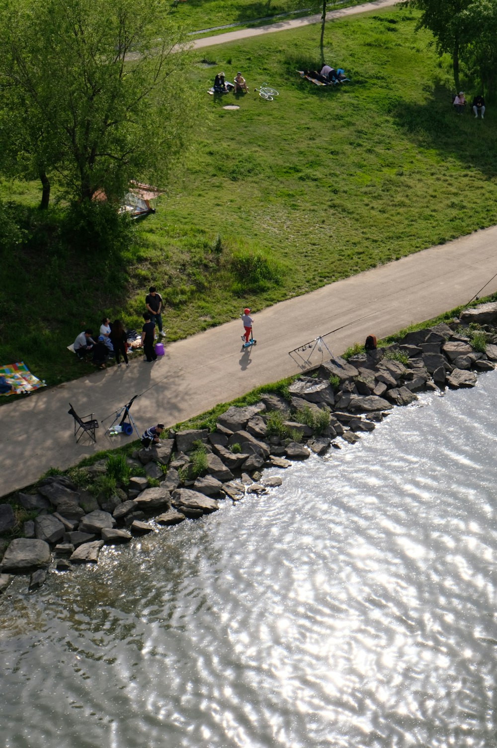 people walking on gray concrete pathway near green grass field during daytime