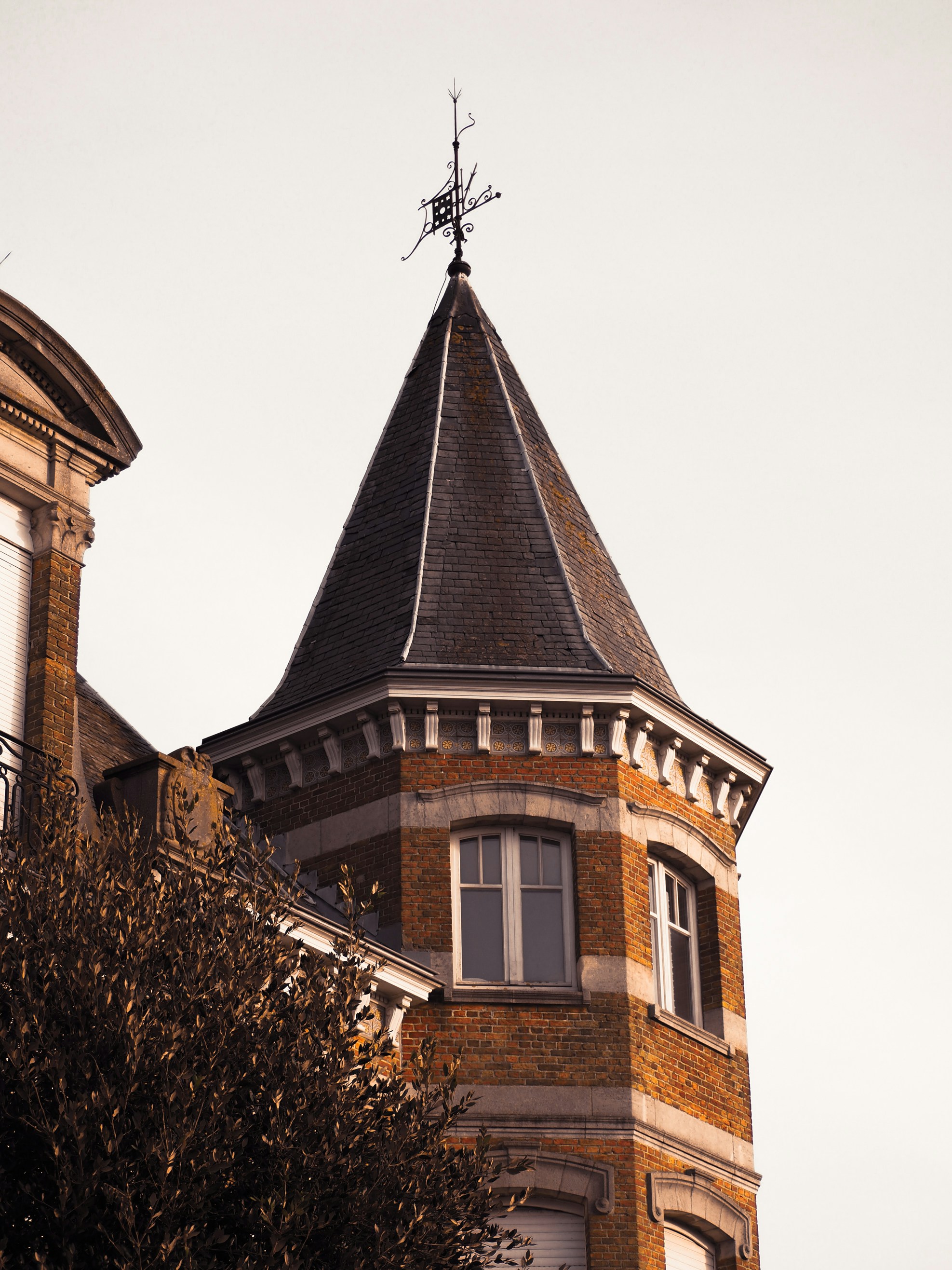 Photo by studiowattier