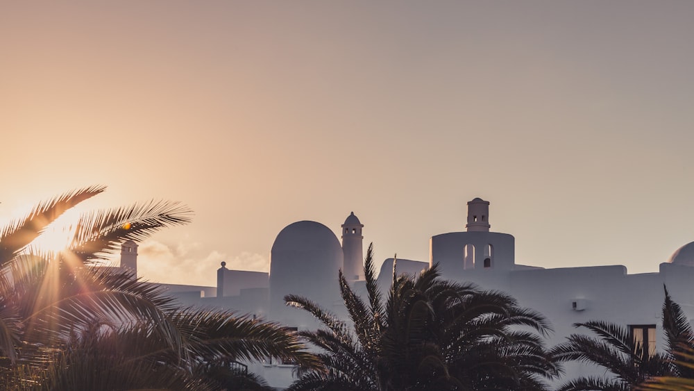 Edificio de hormigón blanco cerca de Palm Tree durante el día