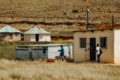 A rural scene featuring small, modest buildings with metal roofs situated on a grassy landscape. People are standing near the entrance of a whitewashed house. In the background, there are two circular structures with blue metal roofs, and cows can be seen grazing on the hilly, dry grassland.