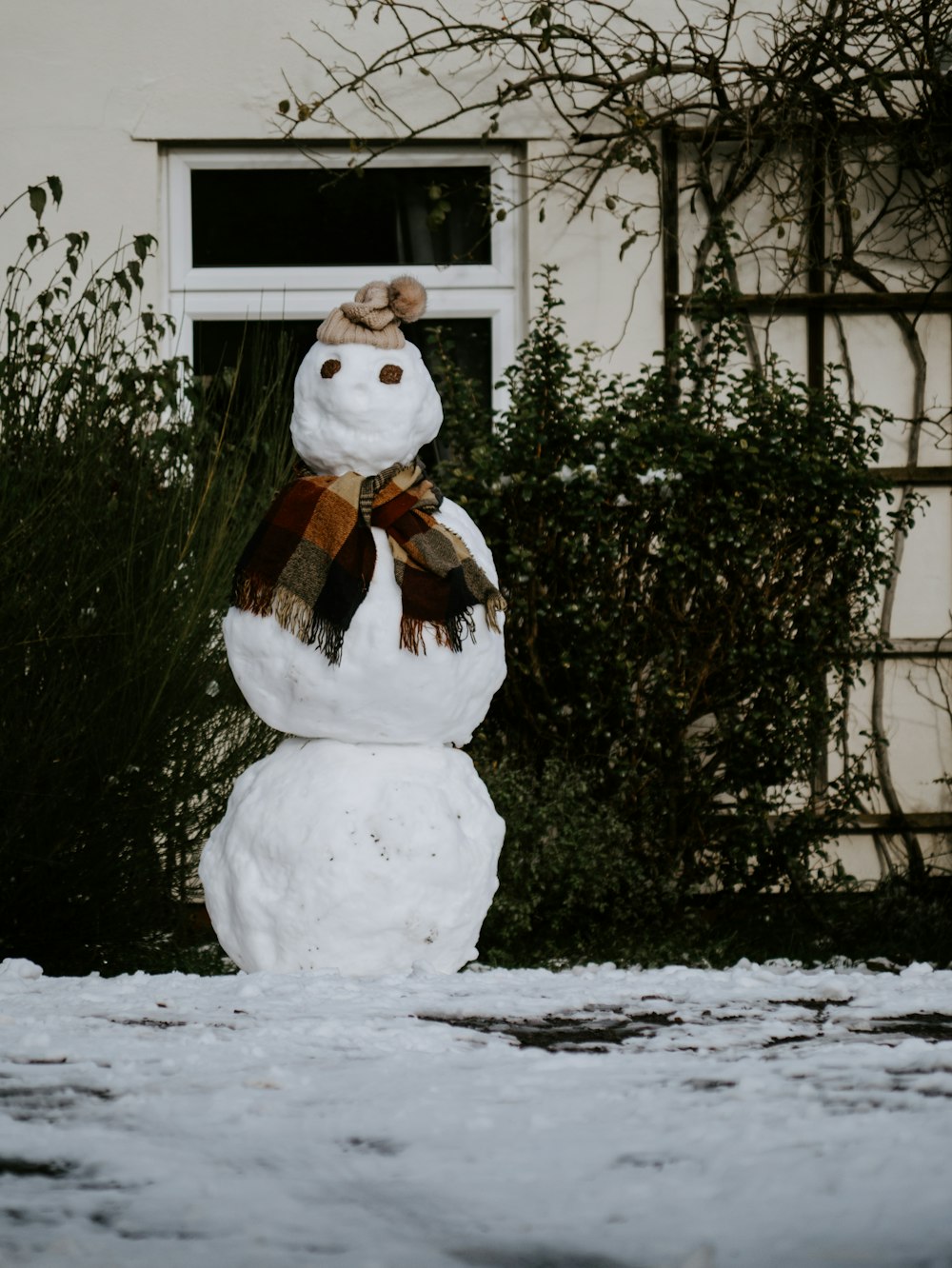 snowman with brown scarf and white scarf
