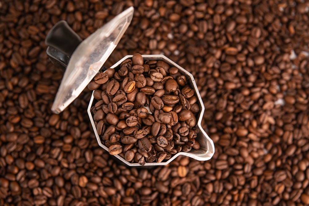 ステンレス製のボウルに入った茶色のコーヒー豆