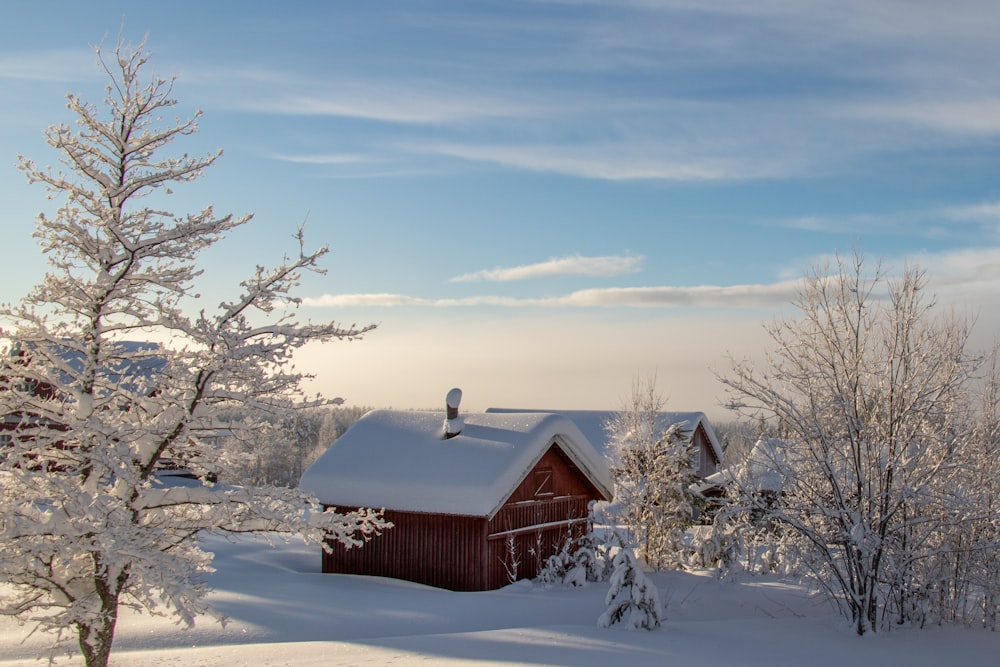 brown wooden house on snow covered ground during daytime