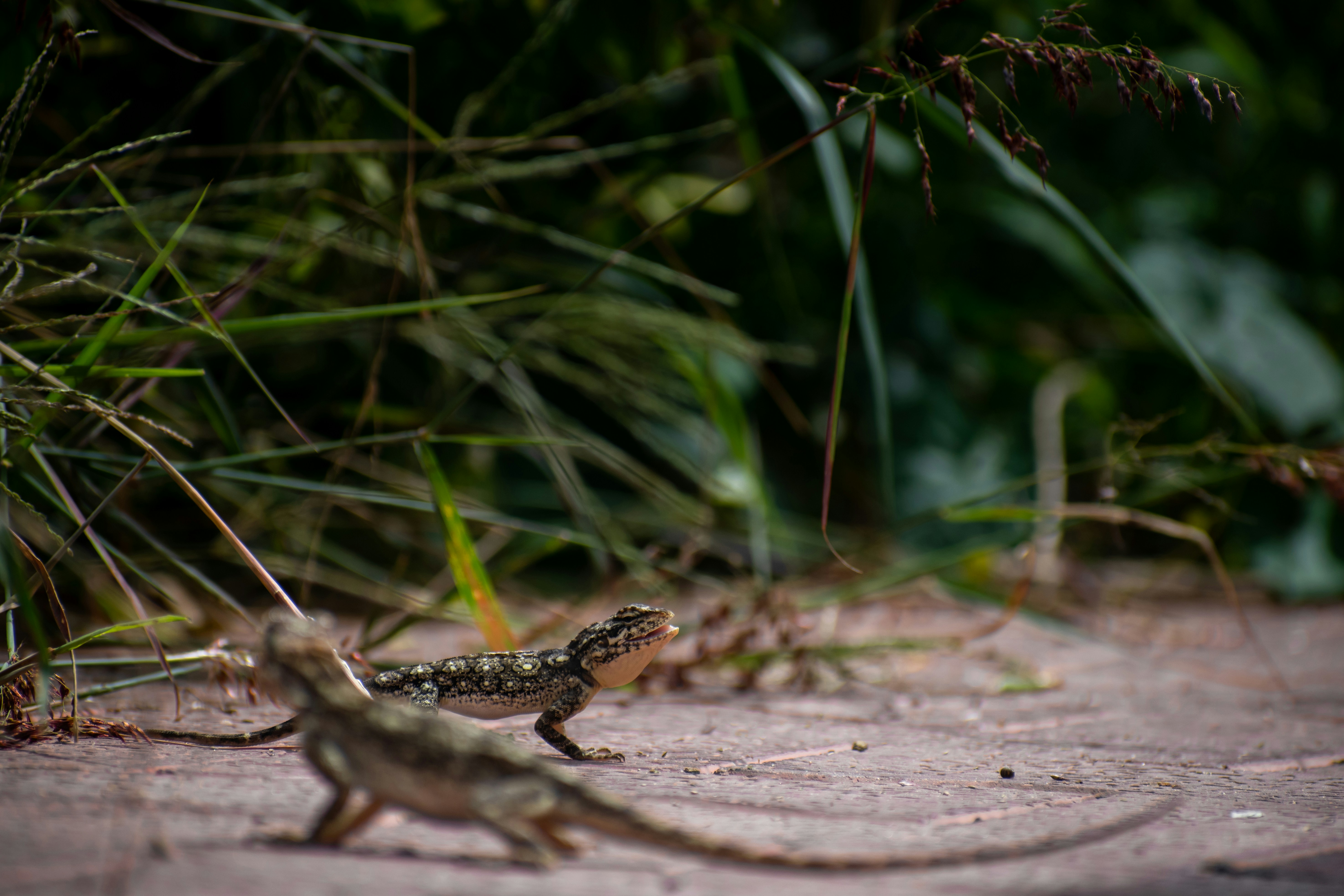 Photo by nikhilsingh291