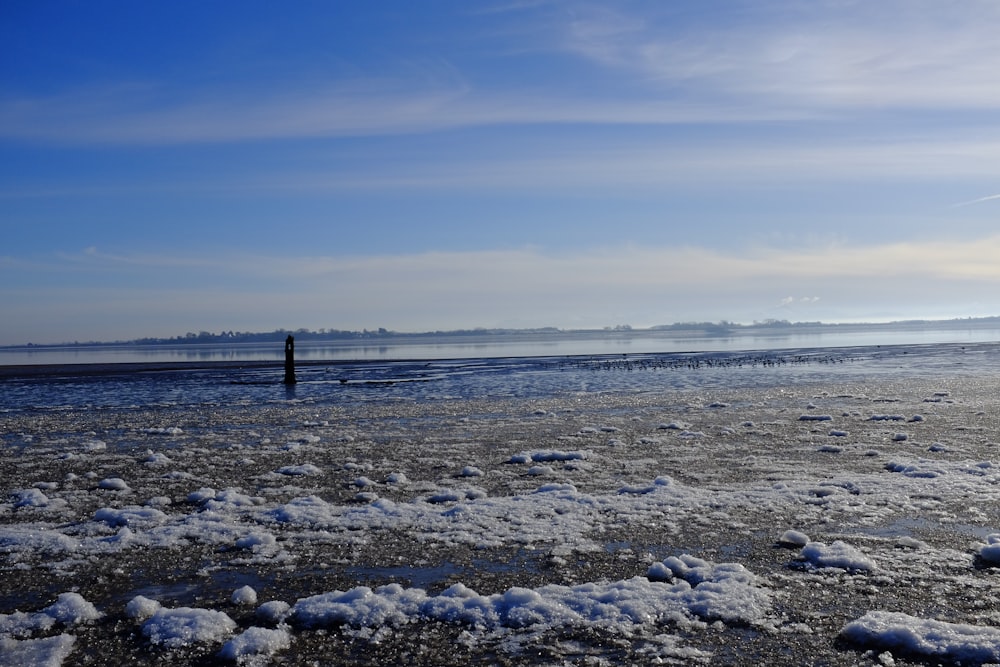 people standing on white snow covered ground during daytime