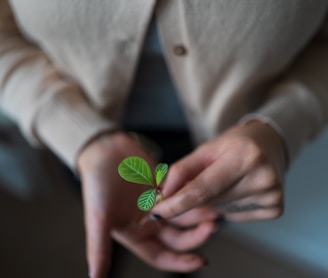 person in white blazer holding green heart ornament