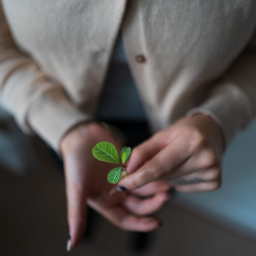 person in white blazer holding green heart ornament