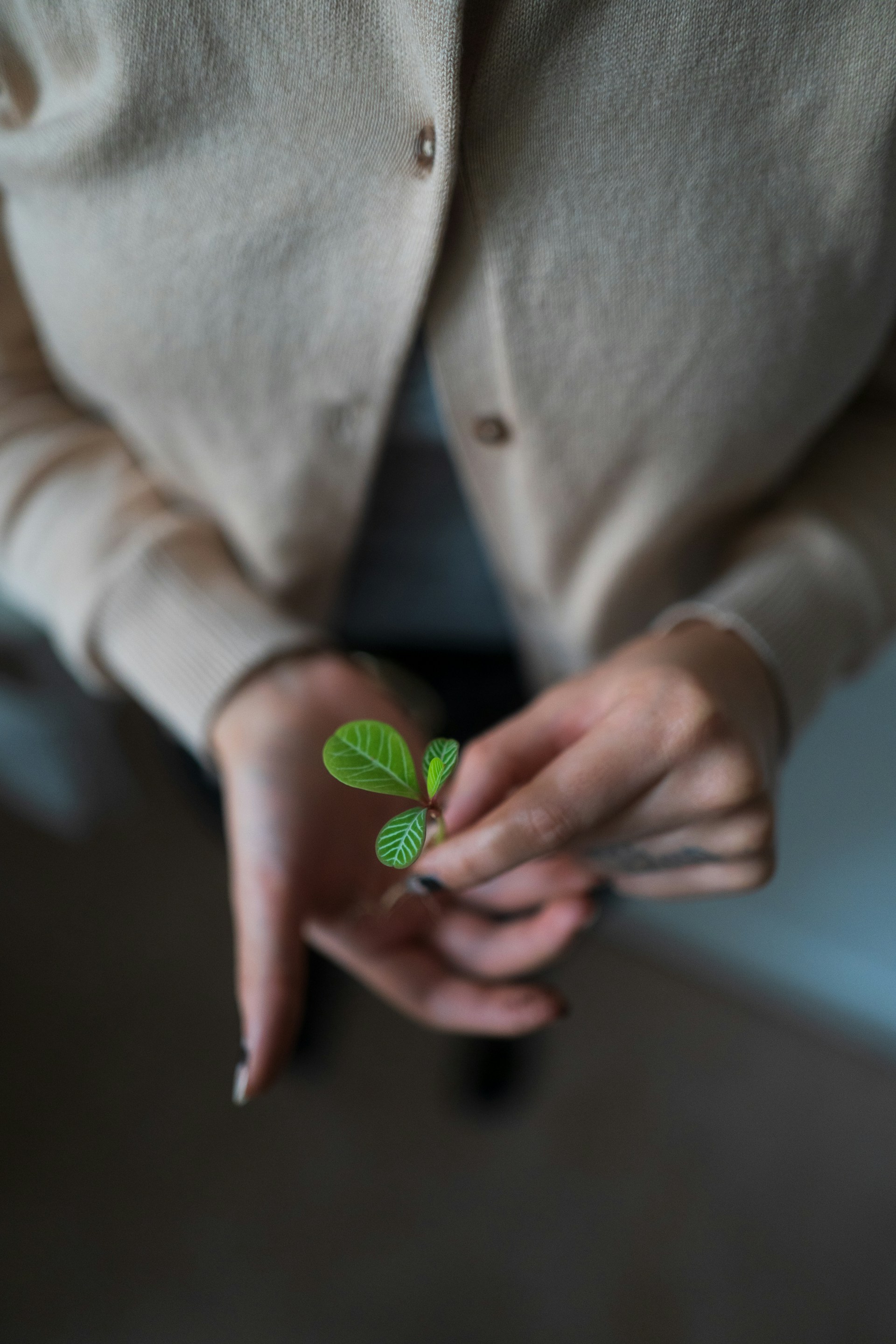 person in white blazer holding green heart ornament