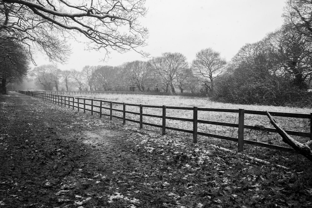 grayscale photo of wooden fence near trees