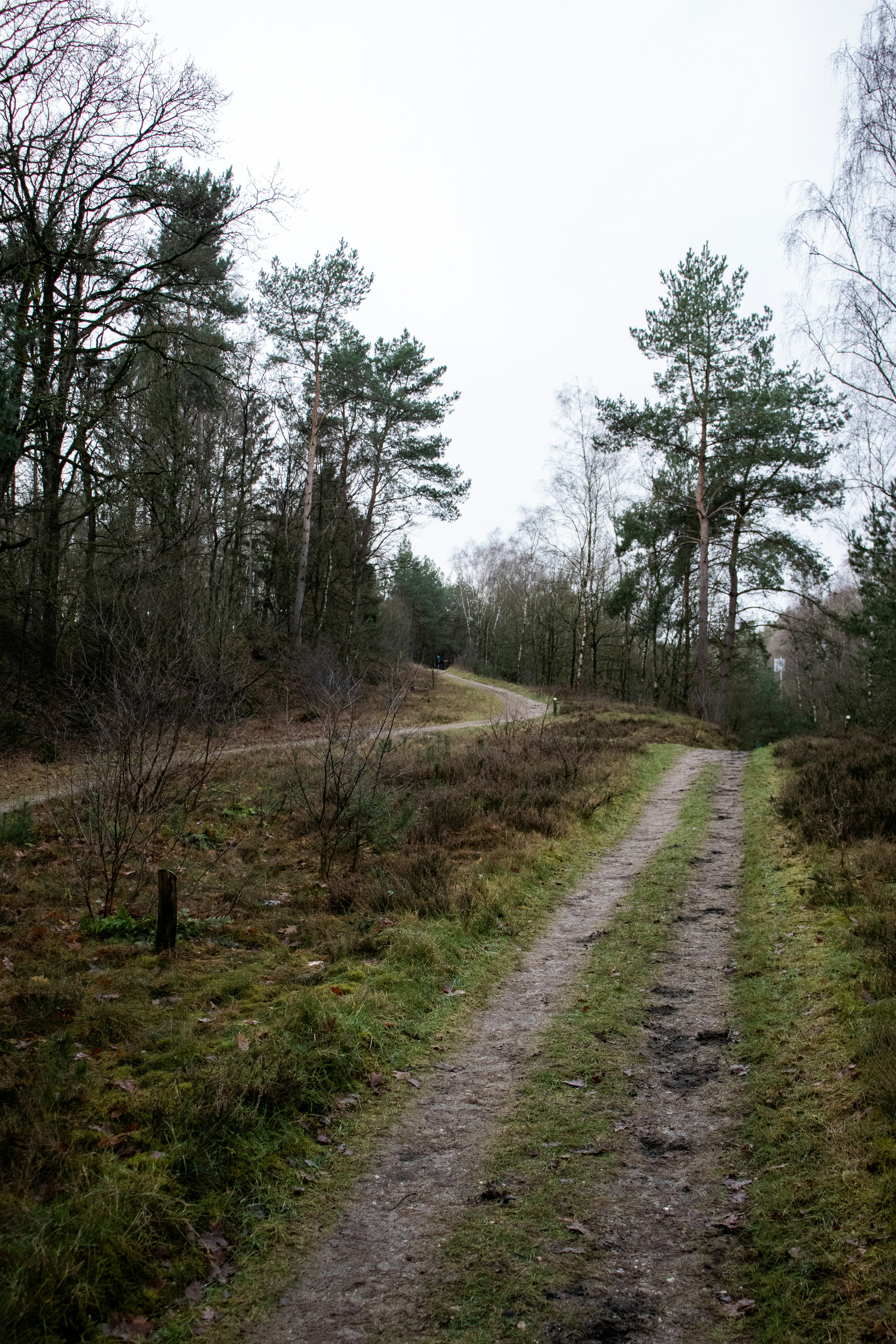 Photo by bartdegreef