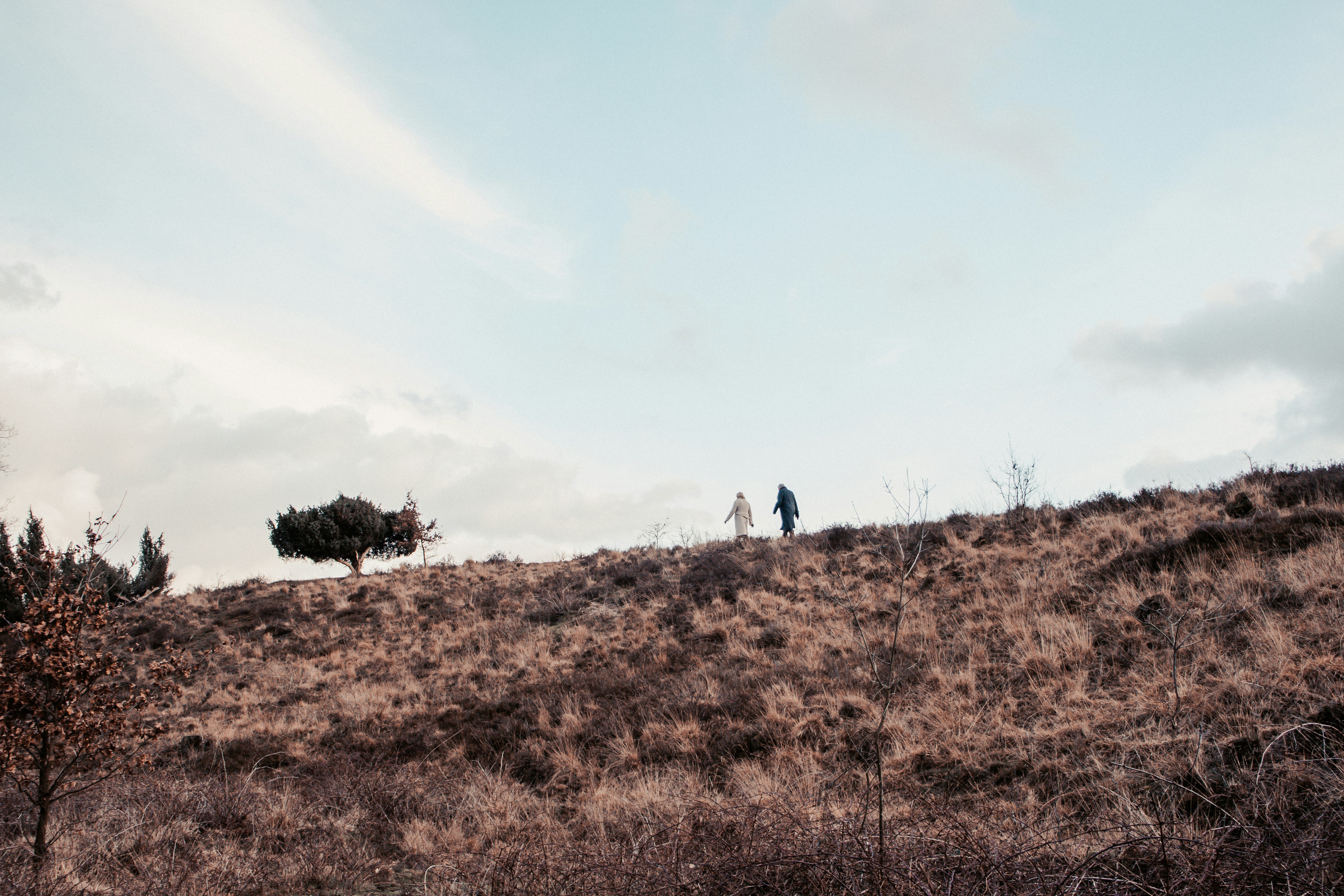 Photo by bartdegreef