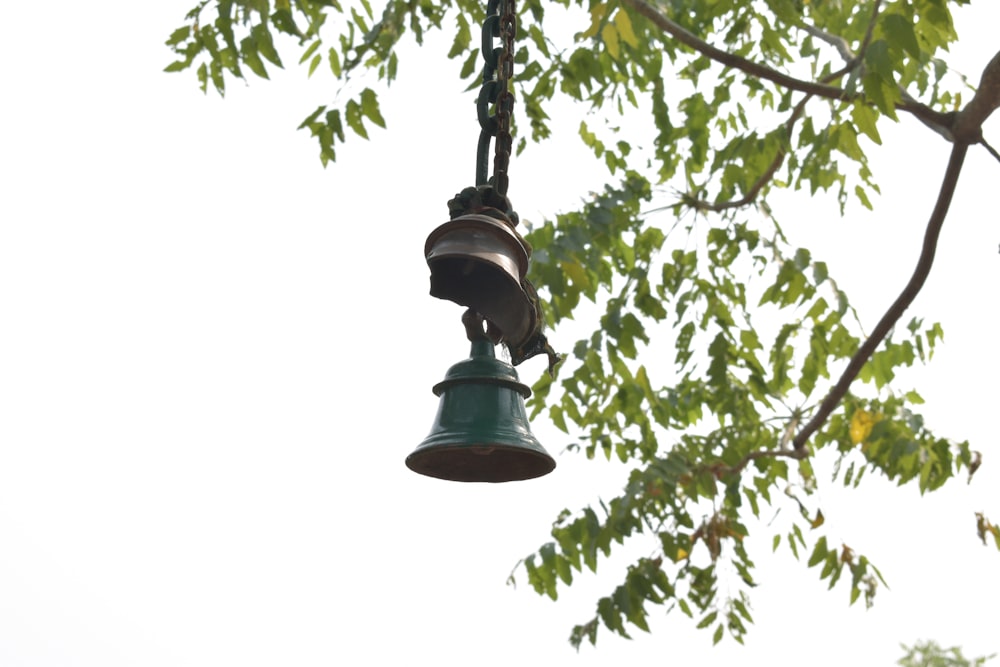 green bell hanging on tree during daytime