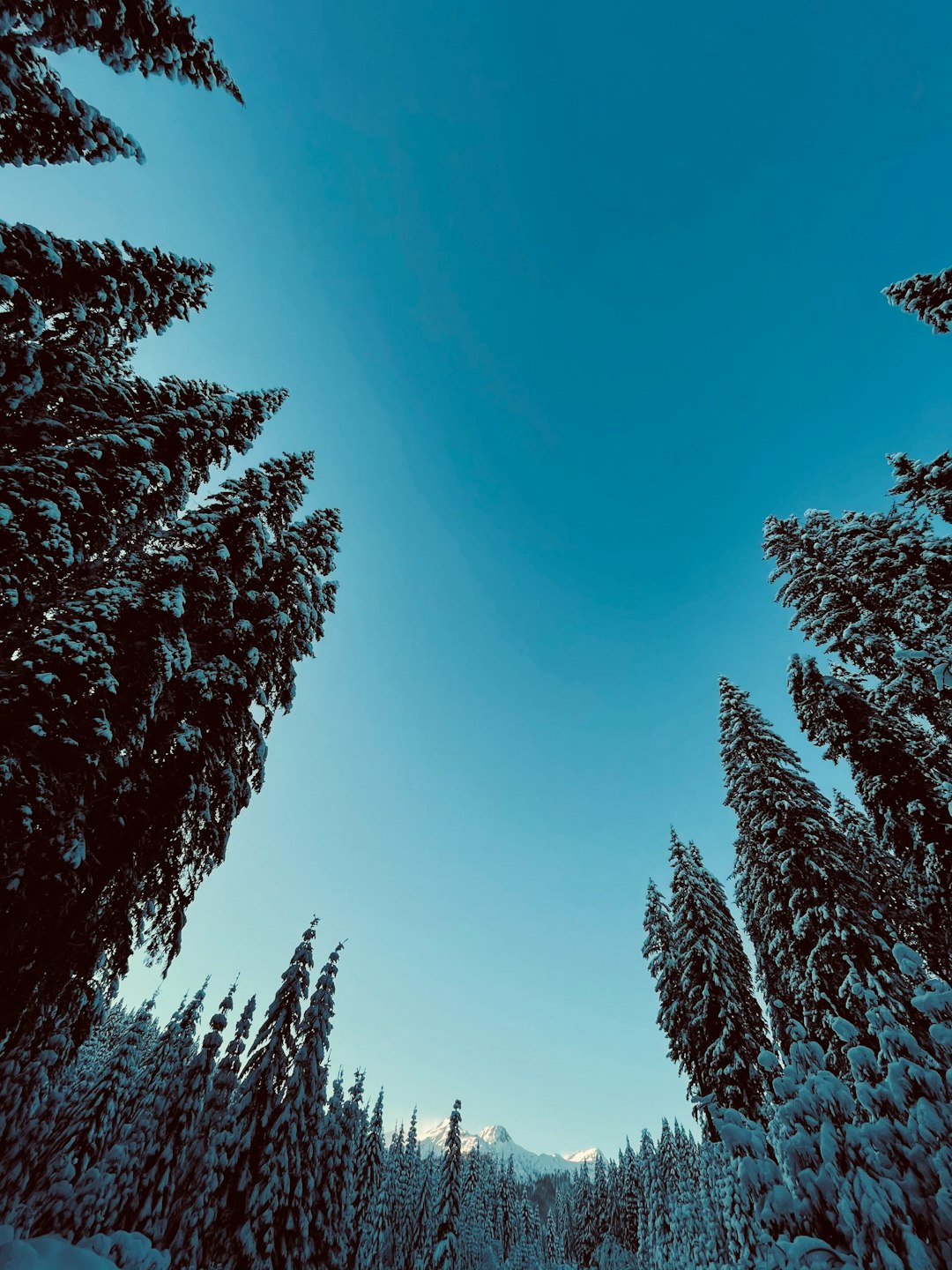 Natural landscape photo spot Triglav National Park Moste