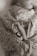 A newborn baby wrapped in a floral-patterned fabric, with their tiny feet adorned with two rings, one with a diamond stone.