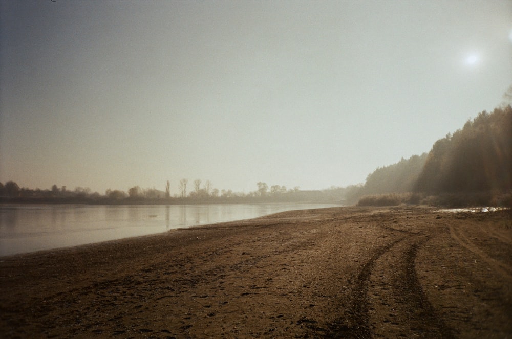 brown sand near body of water during daytime