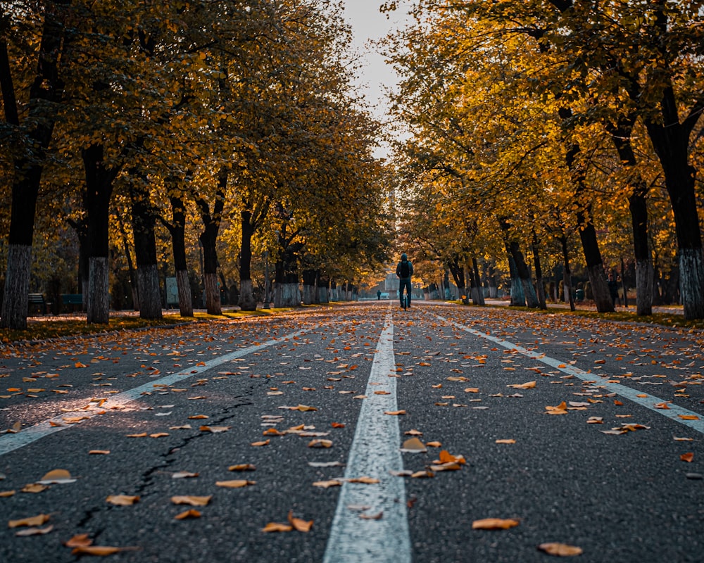 people walking on gray concrete road between trees during daytime