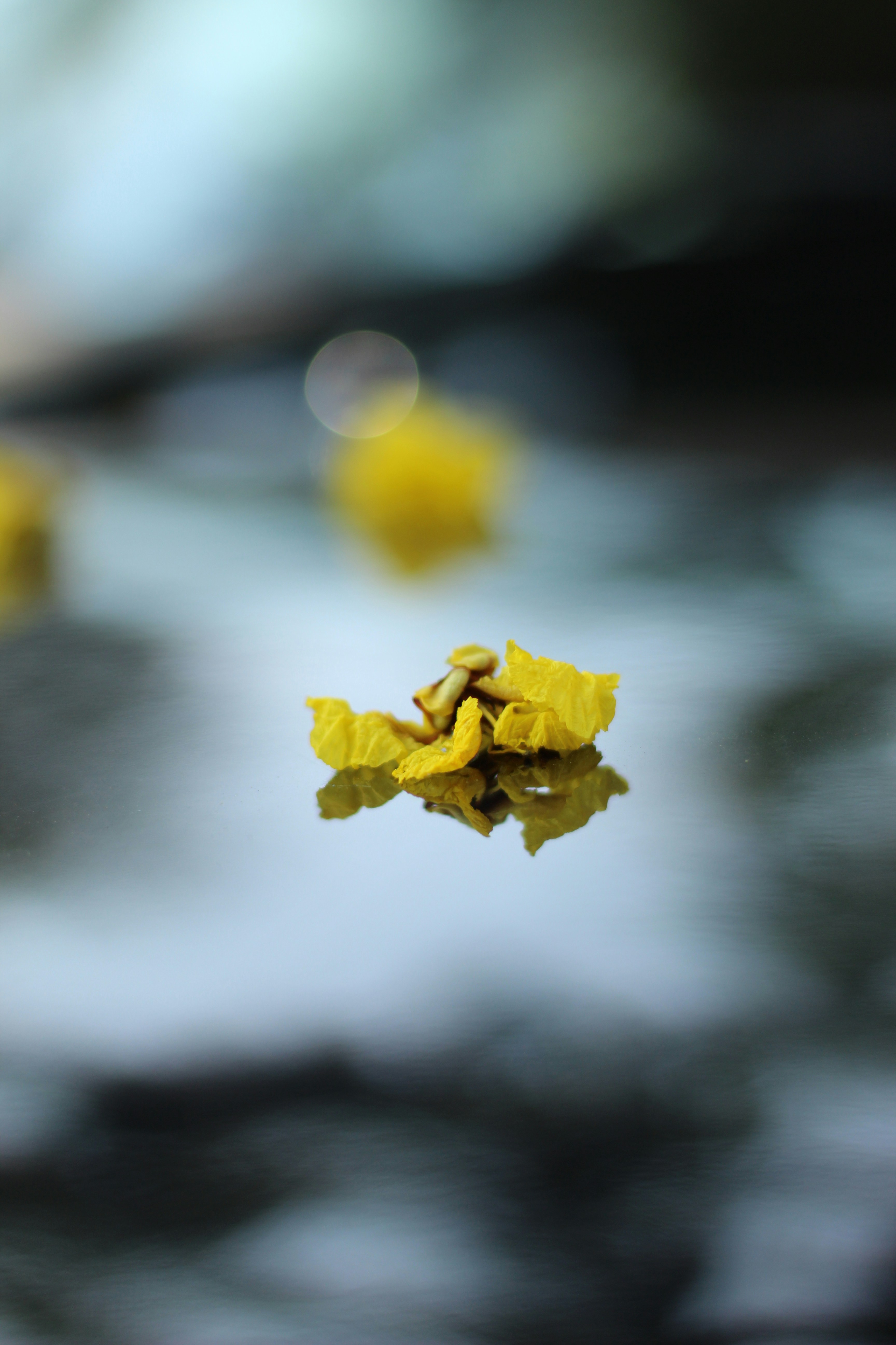 Photo by soorajkabeer