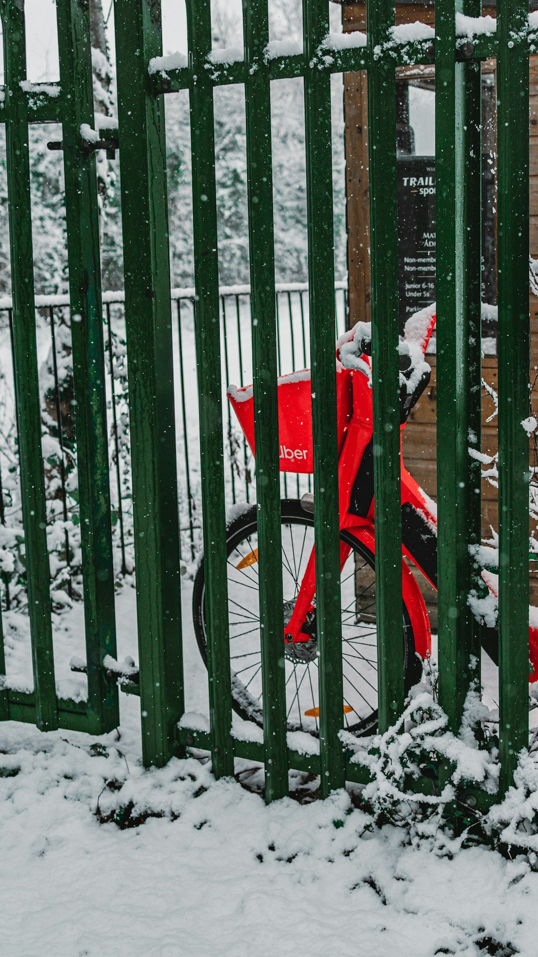 red and white umbrella on black bicycle covered with snow