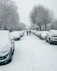cars parked on snow covered road during daytime