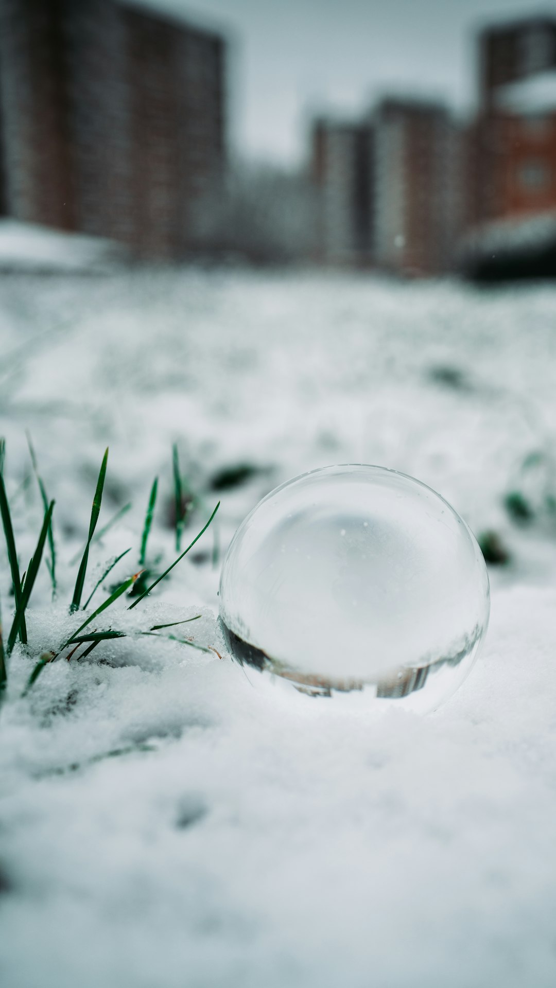 clear glass ball on snow covered ground