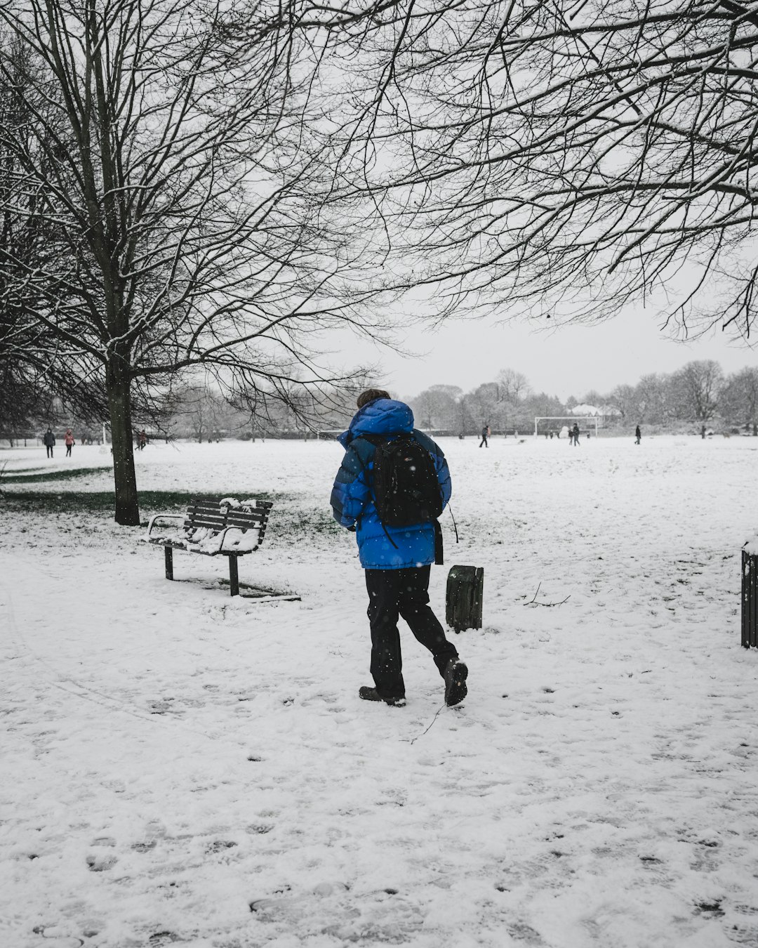 person in blue jacket and black pants standing on snow covered ground during daytime