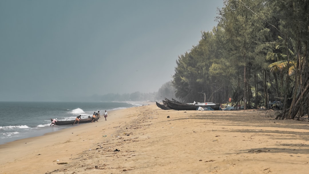 Immerse Yourself in Kochi's Coastal Charm