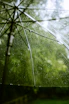 water dew on spider web