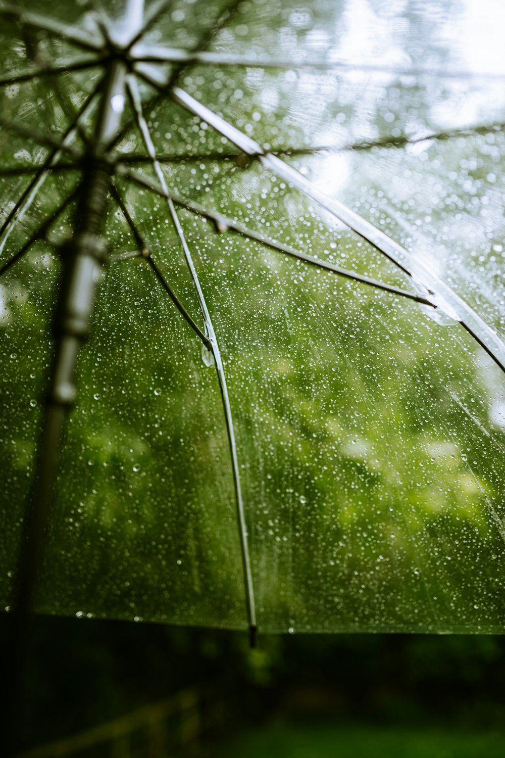 water dew on spider web