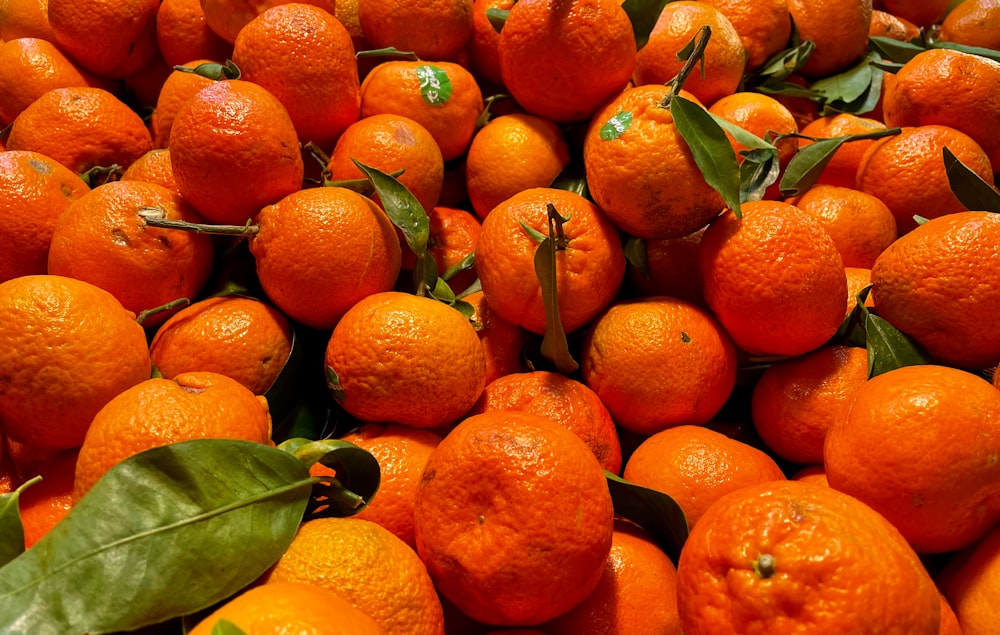 orange fruits on green leaves