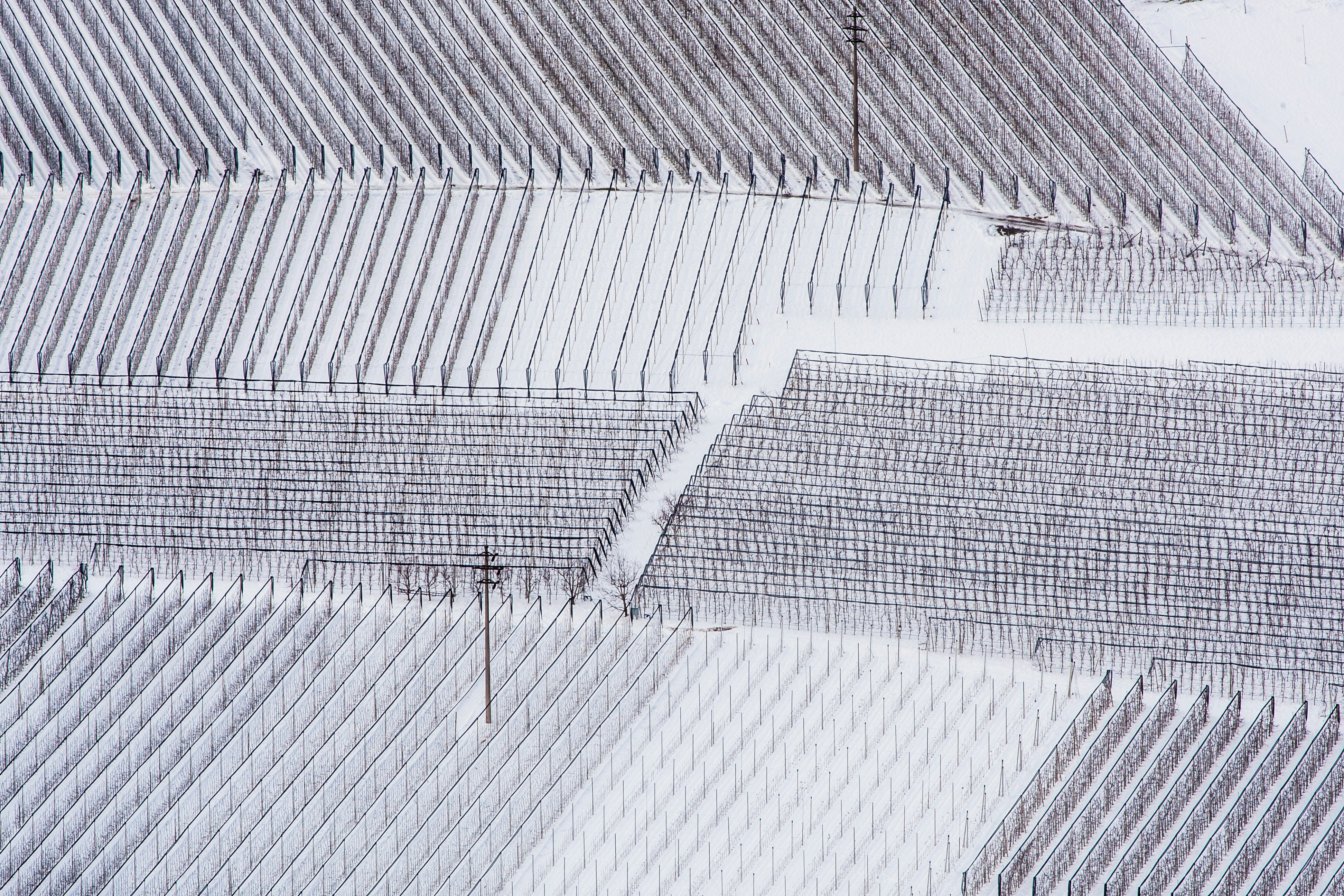 Photo by photoroutes