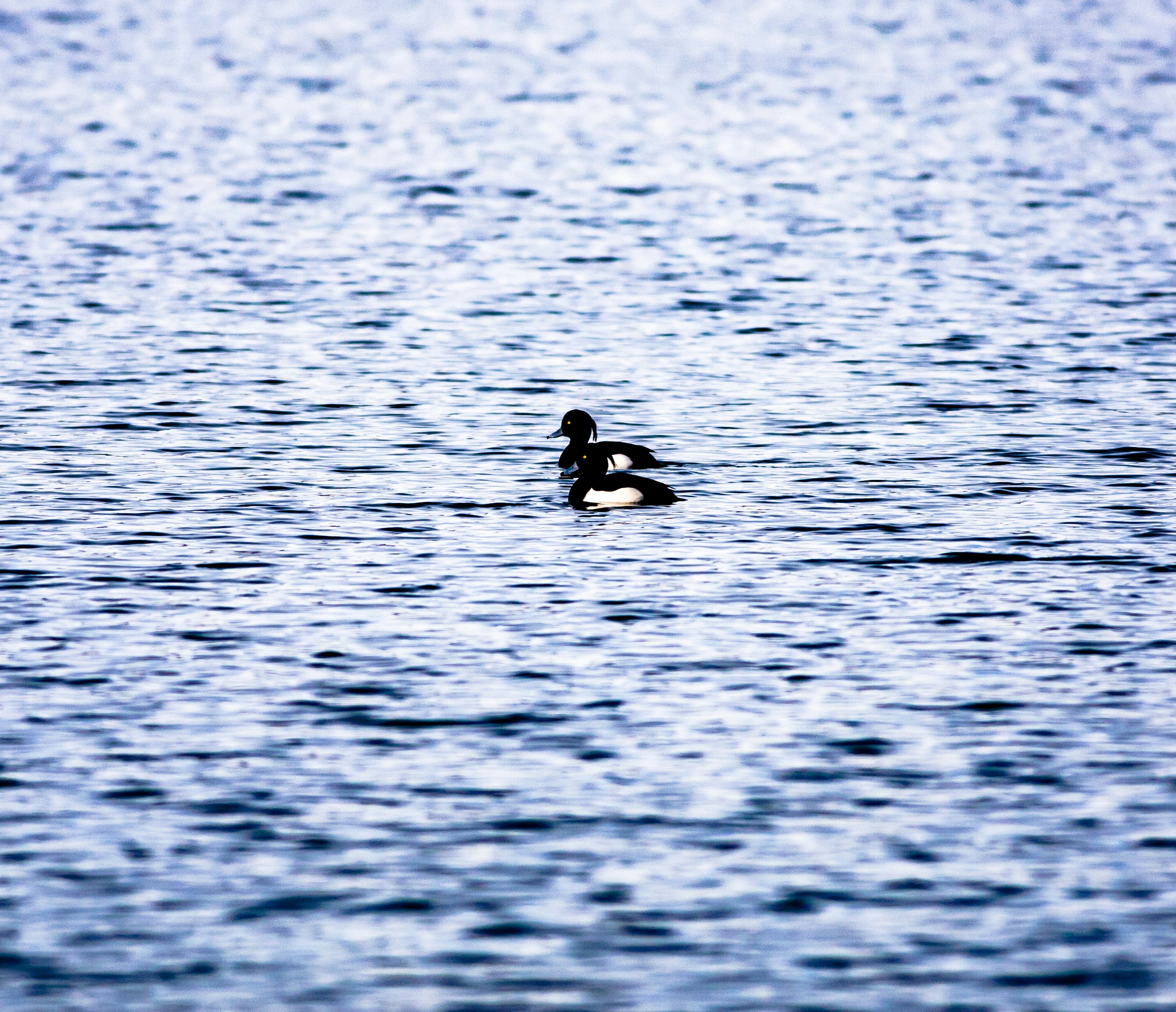 Photo by photoroutes