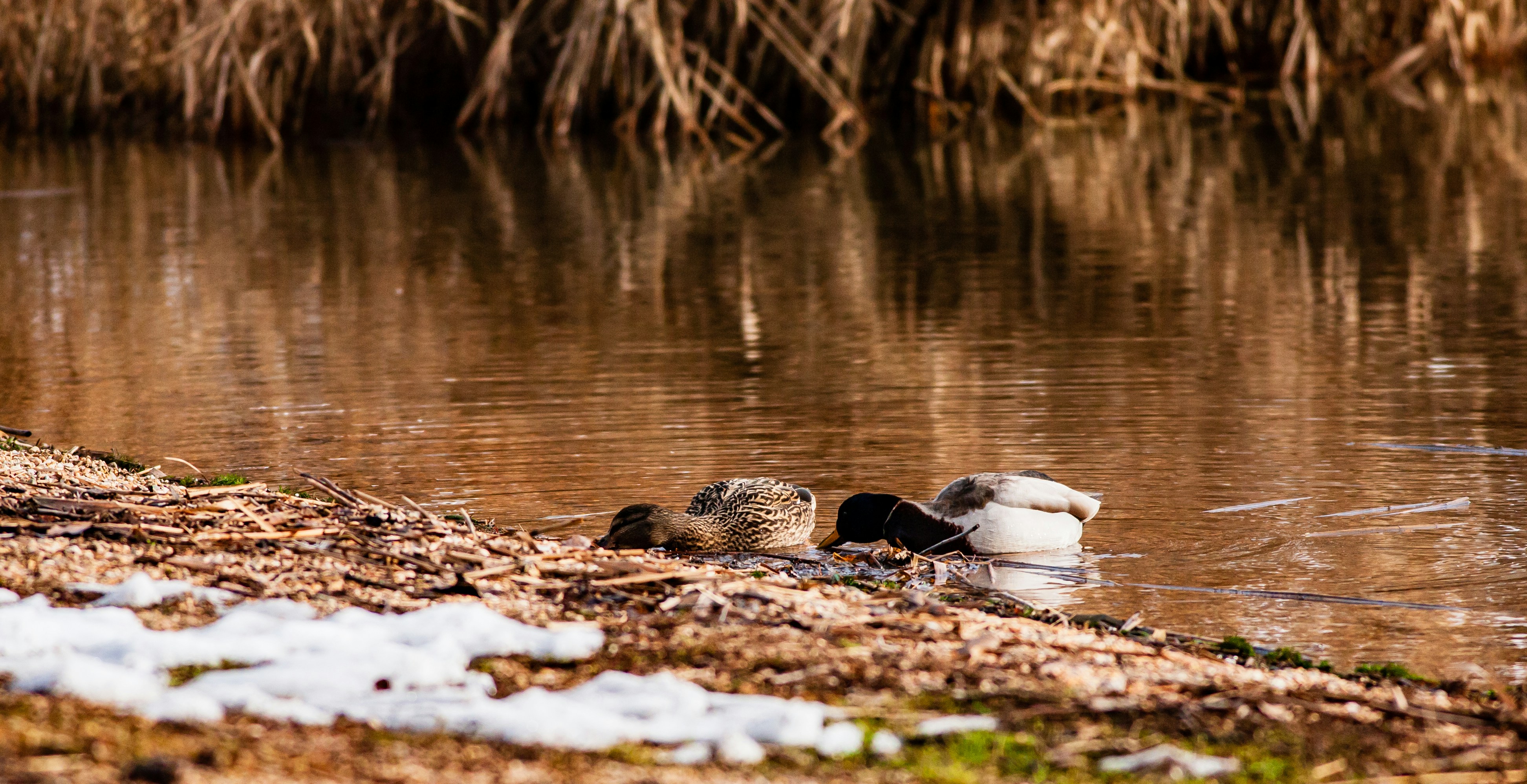 Photo by photoroutes