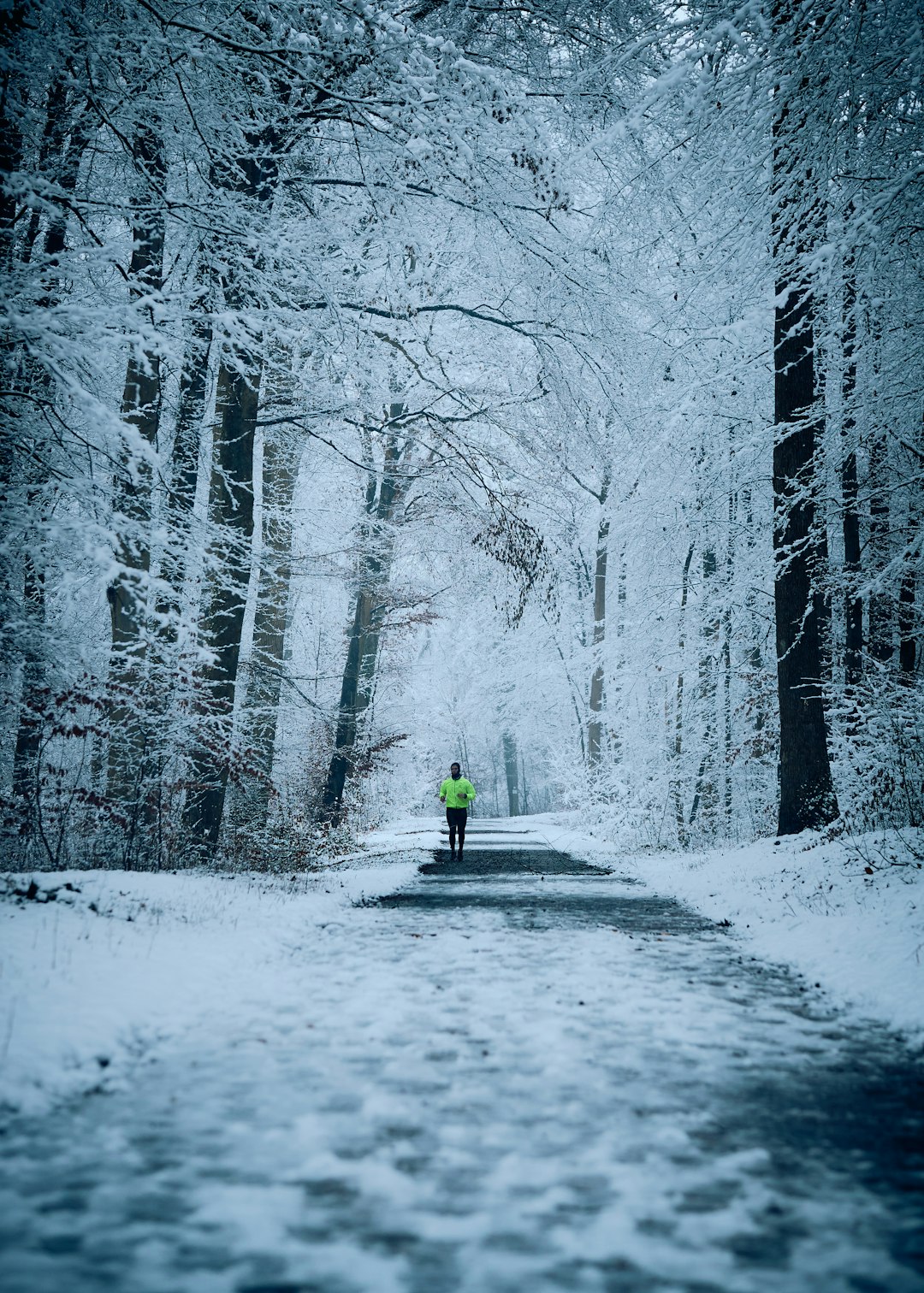 person in green jacket walking on snow covered road between bare trees during daytime