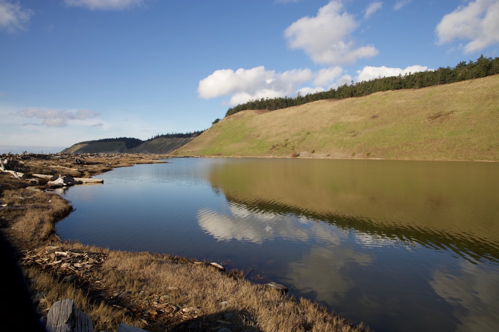 green grass field beside lake under blue sky during daytime