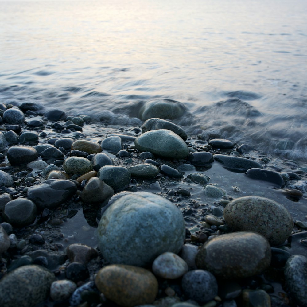pierres noires et grises sur le bord de mer pendant la journée