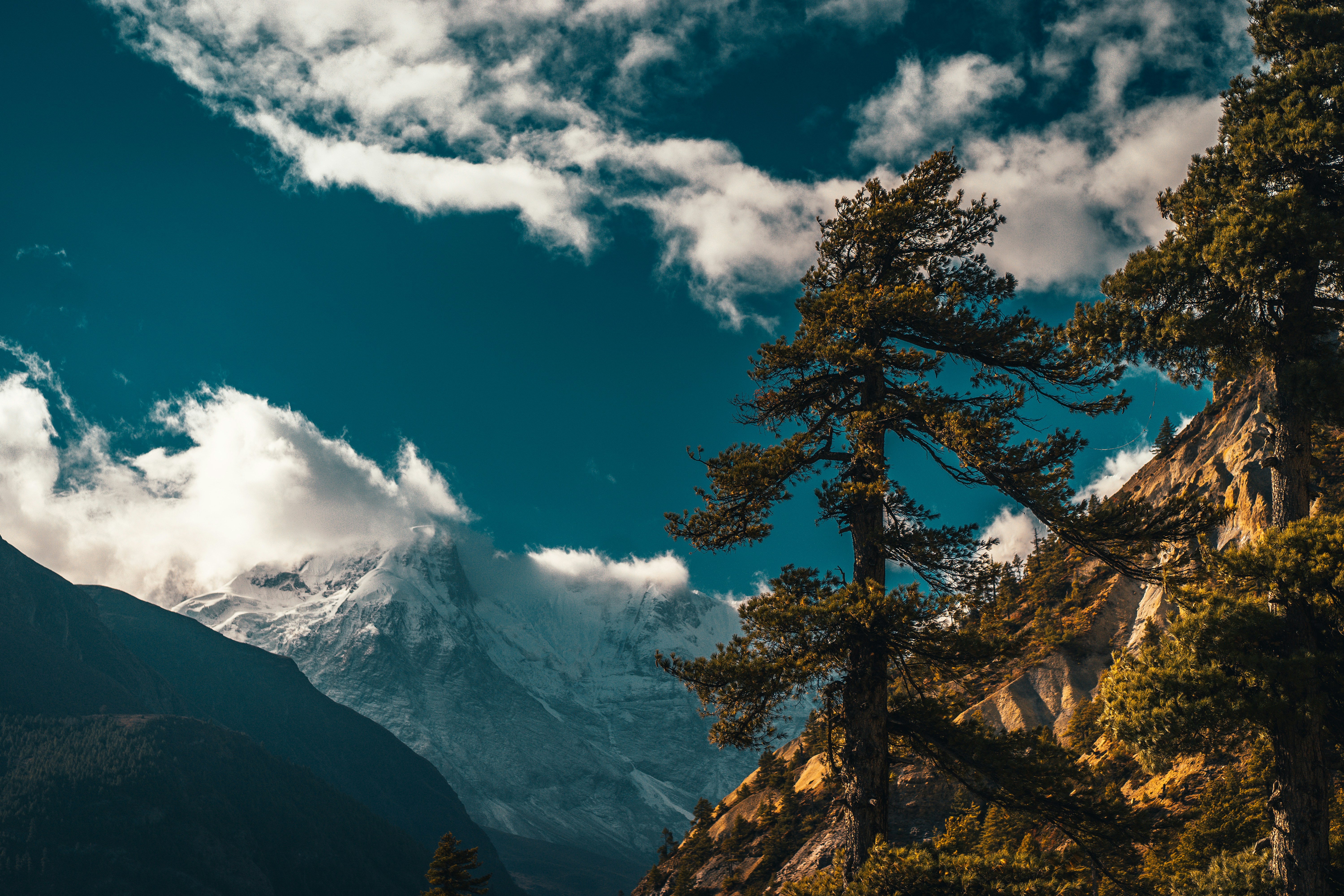 Photo by raimondklavins