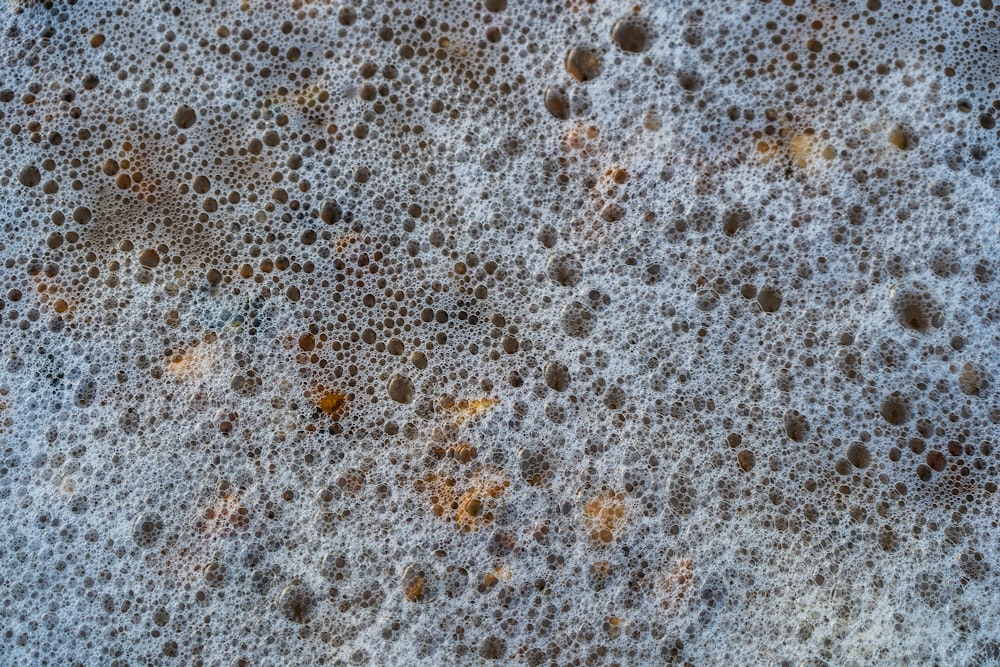 water droplets on gray concrete floor