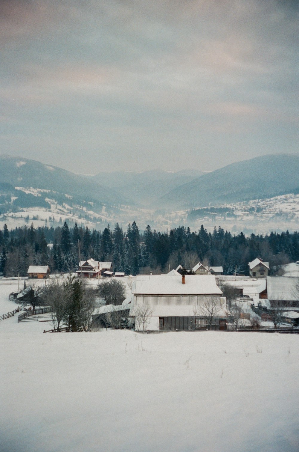 white and brown house on snow covered ground during daytime