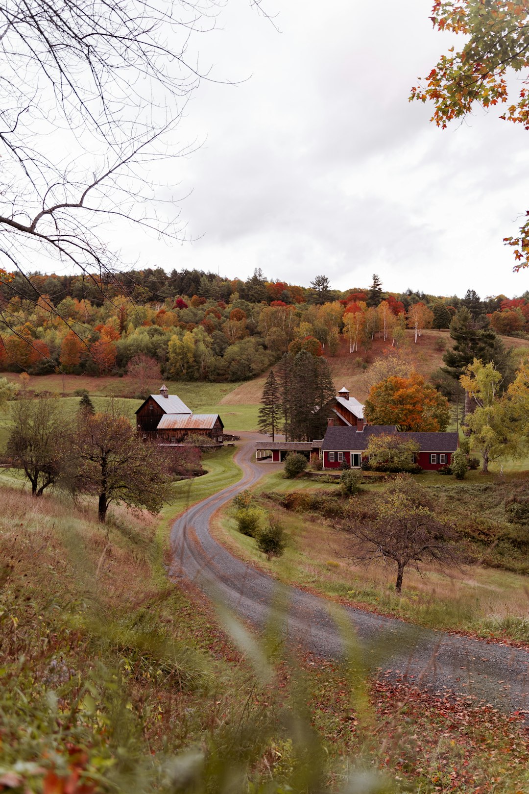 brown wooden house near green grass field and trees during daytime