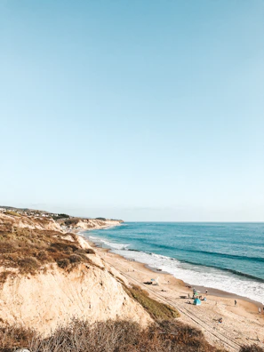 people on beach during daytime