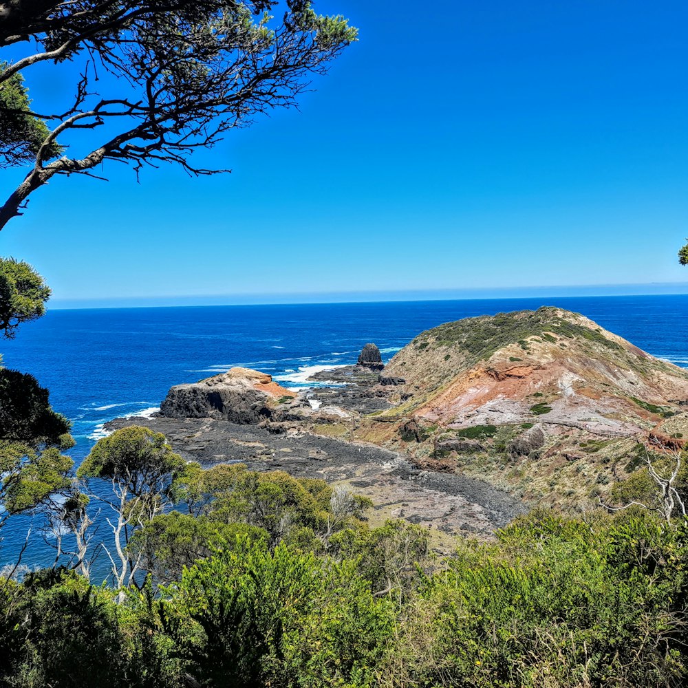 green grass on brown rock formation near blue sea under blue sky during daytime