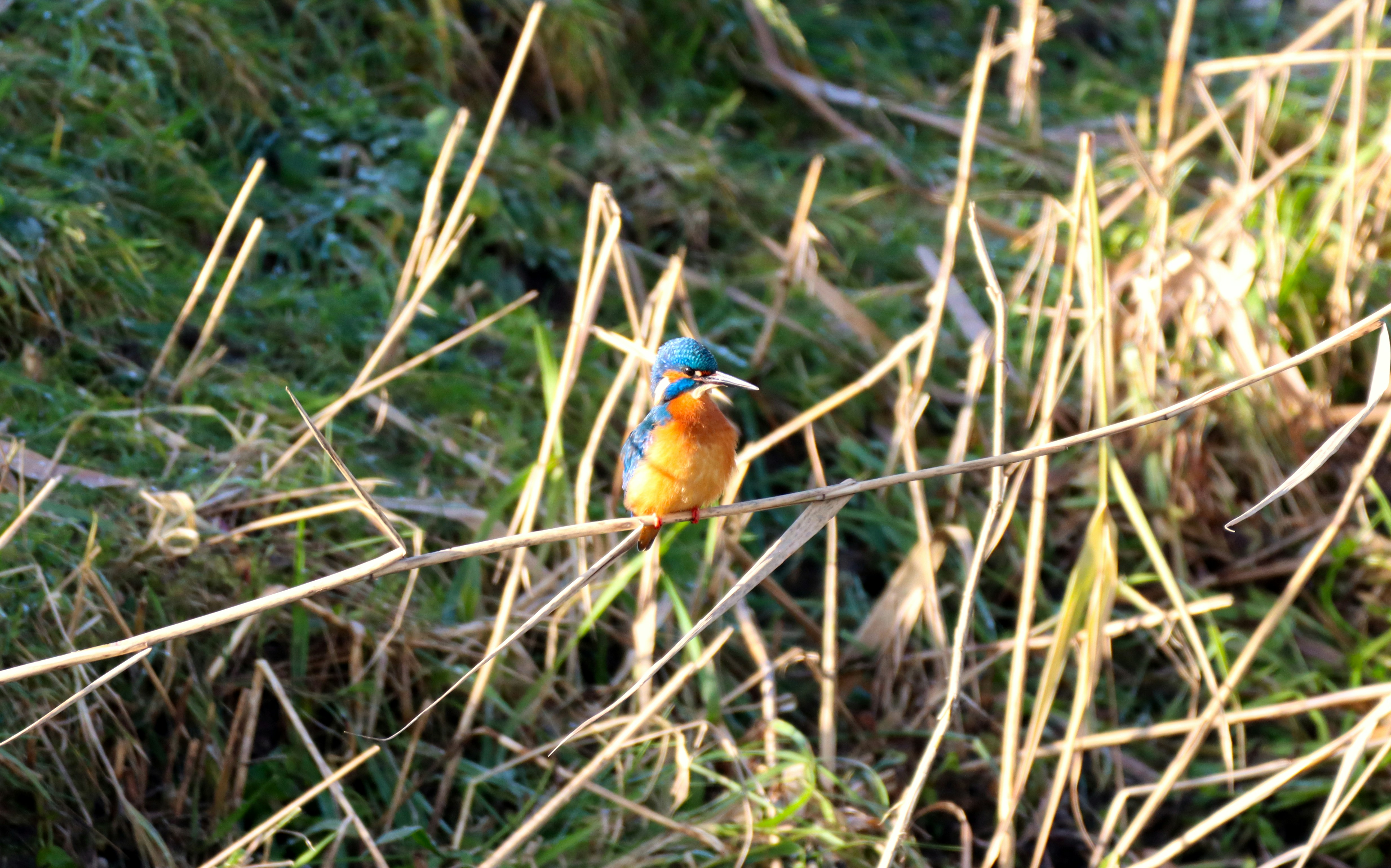 Photo by photasticlab