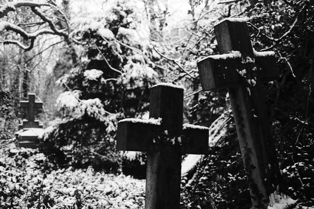 grayscale photo of wooden cross surrounded by trees
