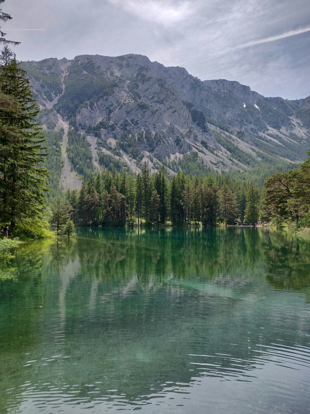 green trees near lake and mountain during daytime