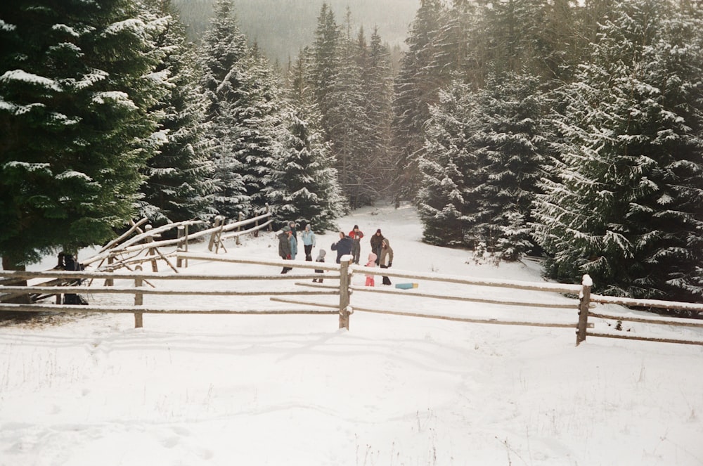 Personas en el campo cubierto de nieve durante el día