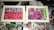 Two framed graffiti artworks display abstract and colorful designs. The left artwork features a vibrant pink background with black outlines creating curvy, overlapping shapes. The right artwork has a mix of purple and green tones with bold black outlines forming abstract faces and repetitive text. The frames rest on a surface covered with various stickers and cutouts, adding to the urban and eclectic aesthetic.
