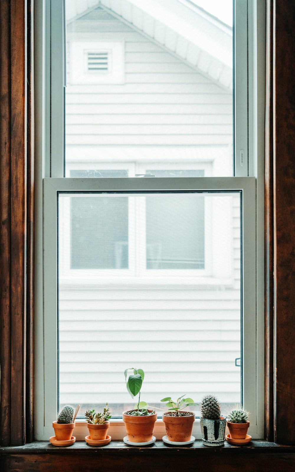 white wooden framed glass window